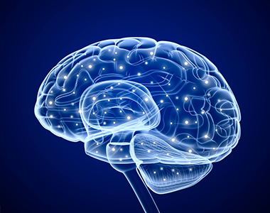 Zoom en neurologie : point sur les pathologies neurodégénératives